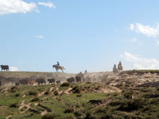 USA-Colorado-Cowboy Adventure in Colorado